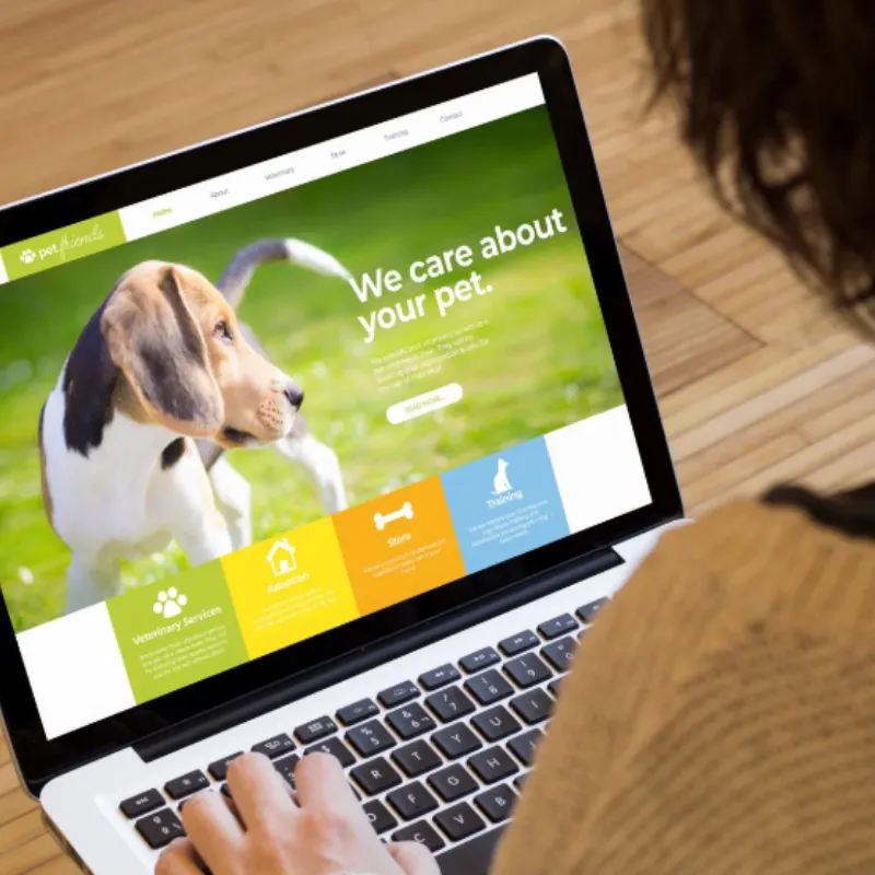 Digital Marketing Campaign 4